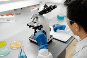 Pharmazie Studium - Personal LopaMed